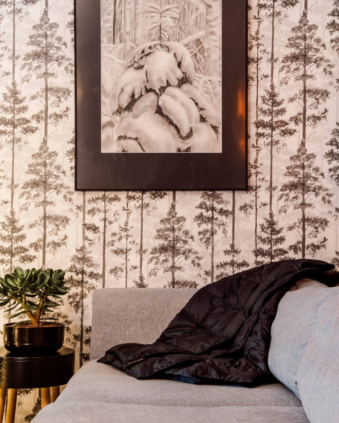 Gray sofa with a blavk down blanket and plant against a wall with tree pattern